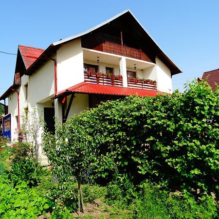 קורבני Pensiunea Casa Elena מראה חיצוני תמונה