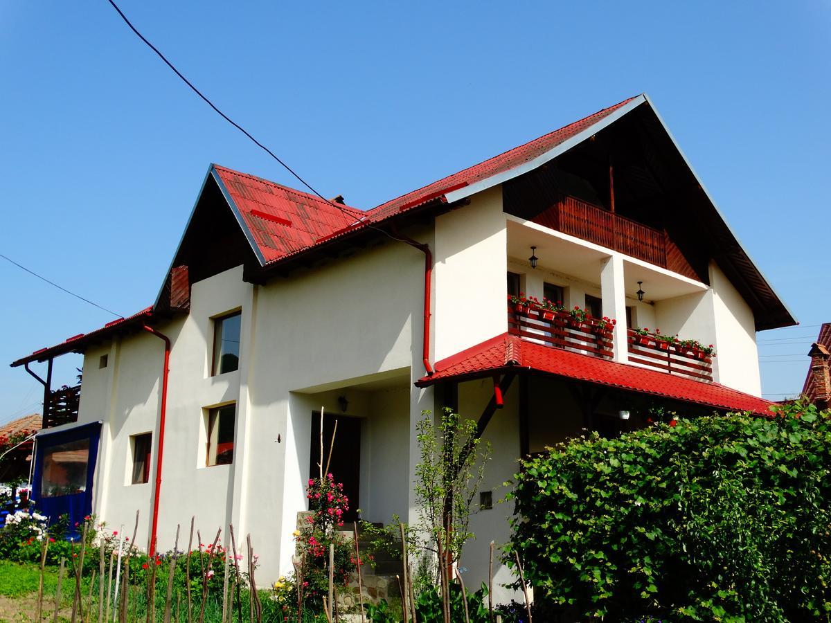 קורבני Pensiunea Casa Elena מראה חיצוני תמונה