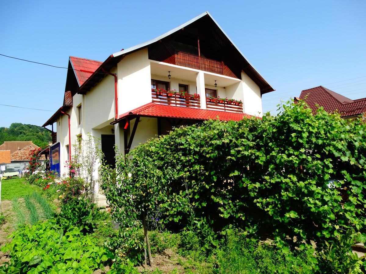 קורבני Pensiunea Casa Elena מראה חיצוני תמונה